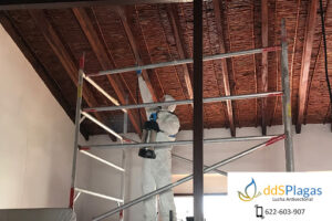 DDS Plagas Control de Termitas Eliminar Cucarachas