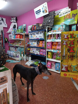 Cave Canem