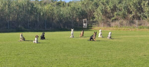 RESIDENCIA CANINA DEL XIQUET