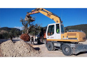 Excavaciones Y Materiales Cirugeda