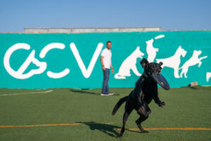 Centro Canino Valentia