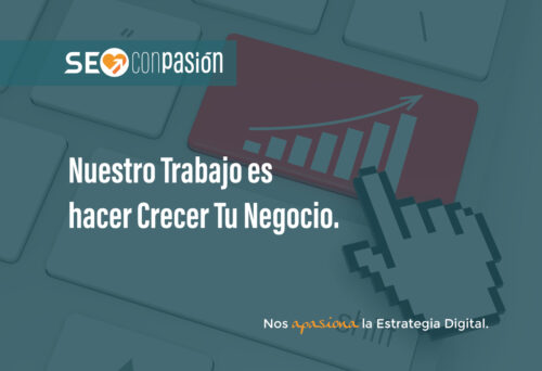 SEO con Pasión I Expertos en Diseño web SEO