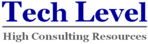 TechLevel consultoria informatica SL