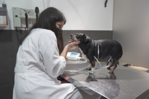 Clínica Veterinaria Coravet