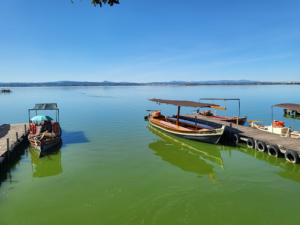 Mirador de la Albufera, Paseos en Barca