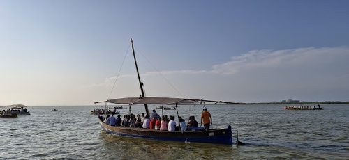 Paseos en Barca Albufera de Valencia