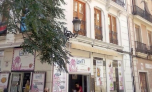 Torres de Serranos Apartments VLC